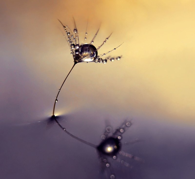 Drop in waterphoto preview