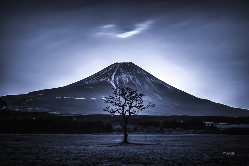Fuji,Japan,mountain,cloud,tree,poem A Tree a Mountain and a Cloudphoto preview