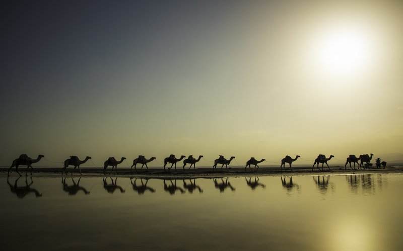 The Salt of the Earth...photo preview