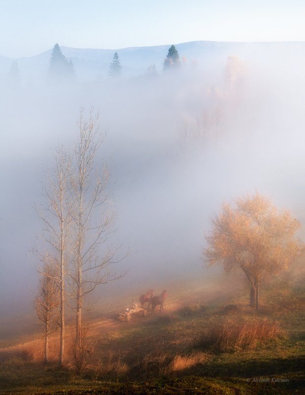 карпаты,осень,пейзаж,туман,утро,рассвет Карпатские сказки...photo preview