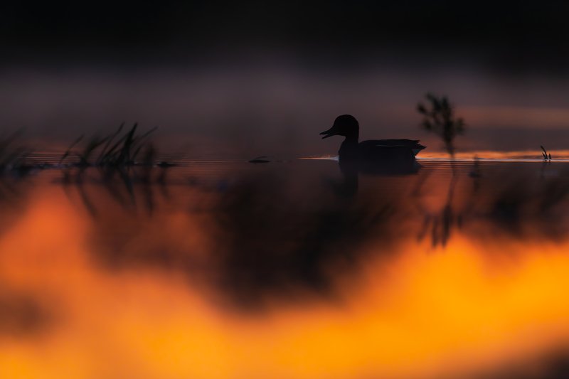 LIght is everything фото превью