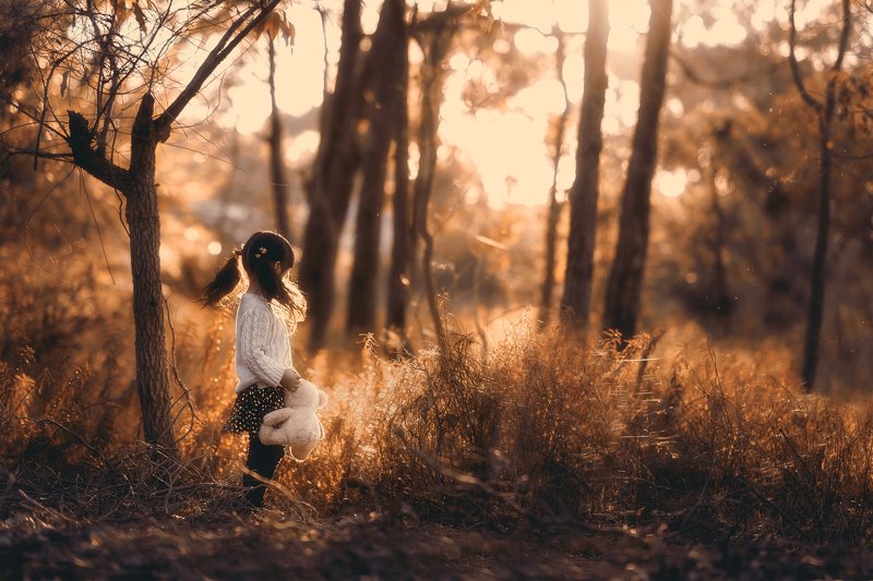 Delphiephoto preview