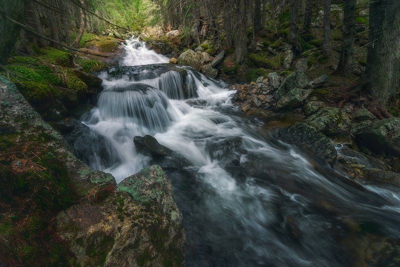 retezat, retezatnationalpark, romania, landscape Garden of wildernessphoto preview