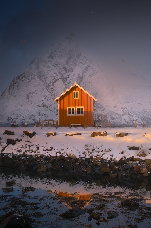 sakrisoy lofoten norway winter house birds storm light sun mountain  sakrisoyphoto preview