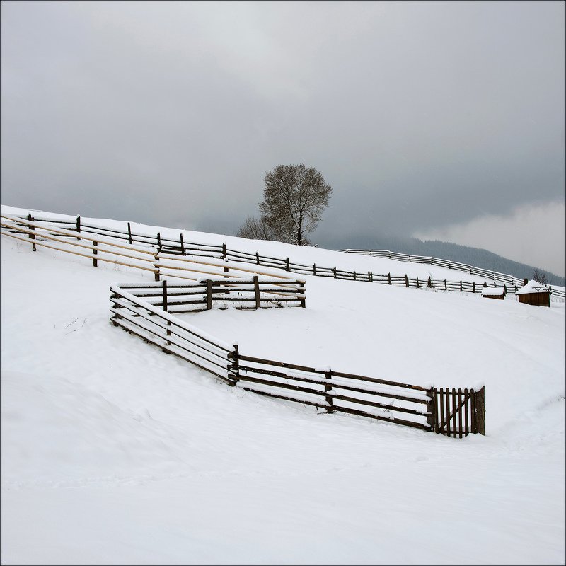 карпаты, зима photo preview