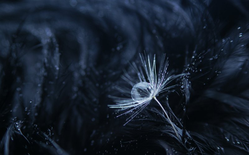 \\\\\\///photo preview