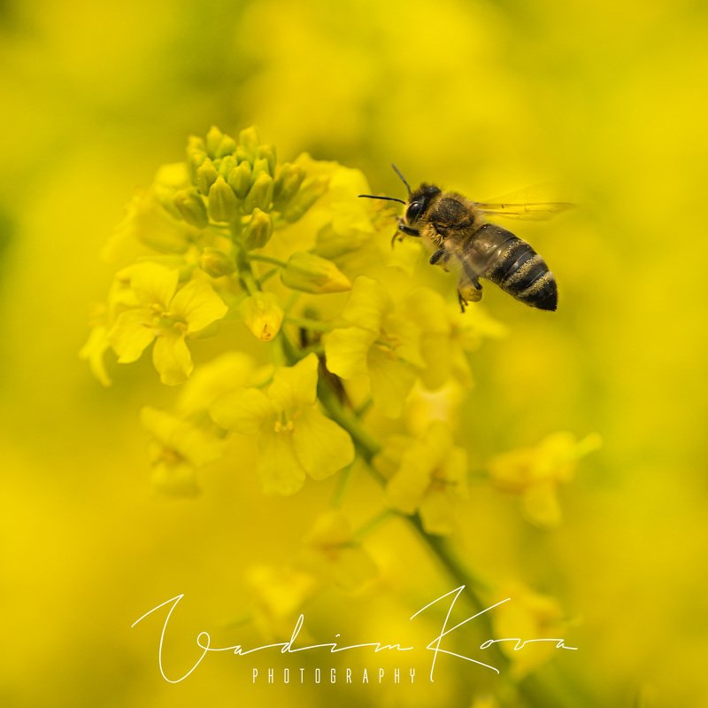 Майский трудоденьphoto preview