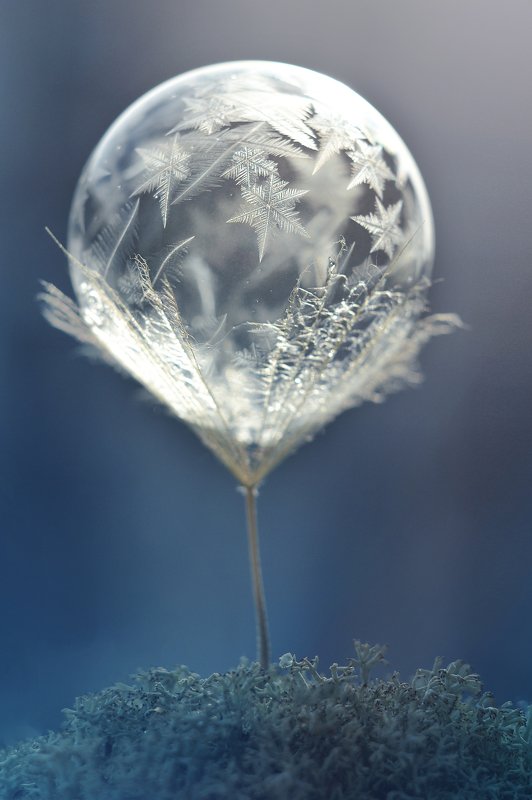 Фонарь эльфовphoto preview