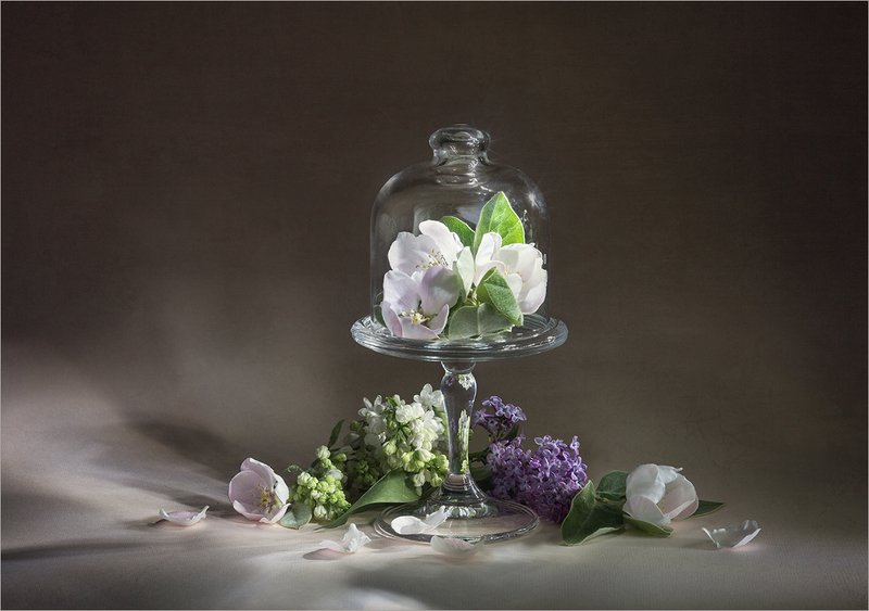 натюрморт, весенние цветы, айва и сирень Весна на десерт...photo preview