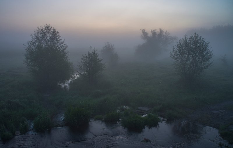 Весеннее утроphoto preview