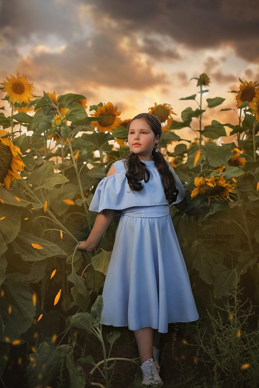 #isarel #beersheva #girls #dress #blue #fotoday Подсолнухиphoto preview