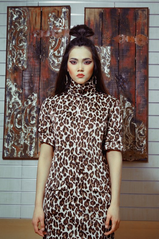 за закрытыми ставнямиphoto preview