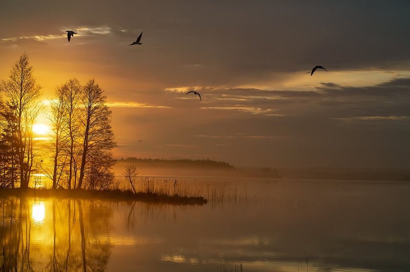 майский рассвет..photo preview