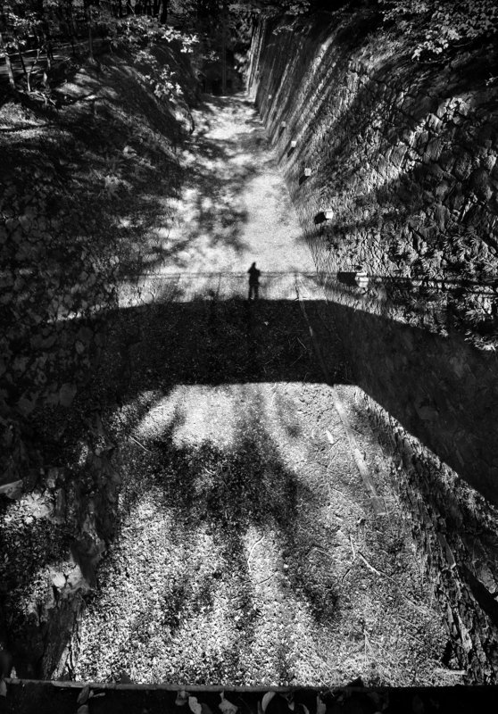 Автопортрет в теняхphoto preview