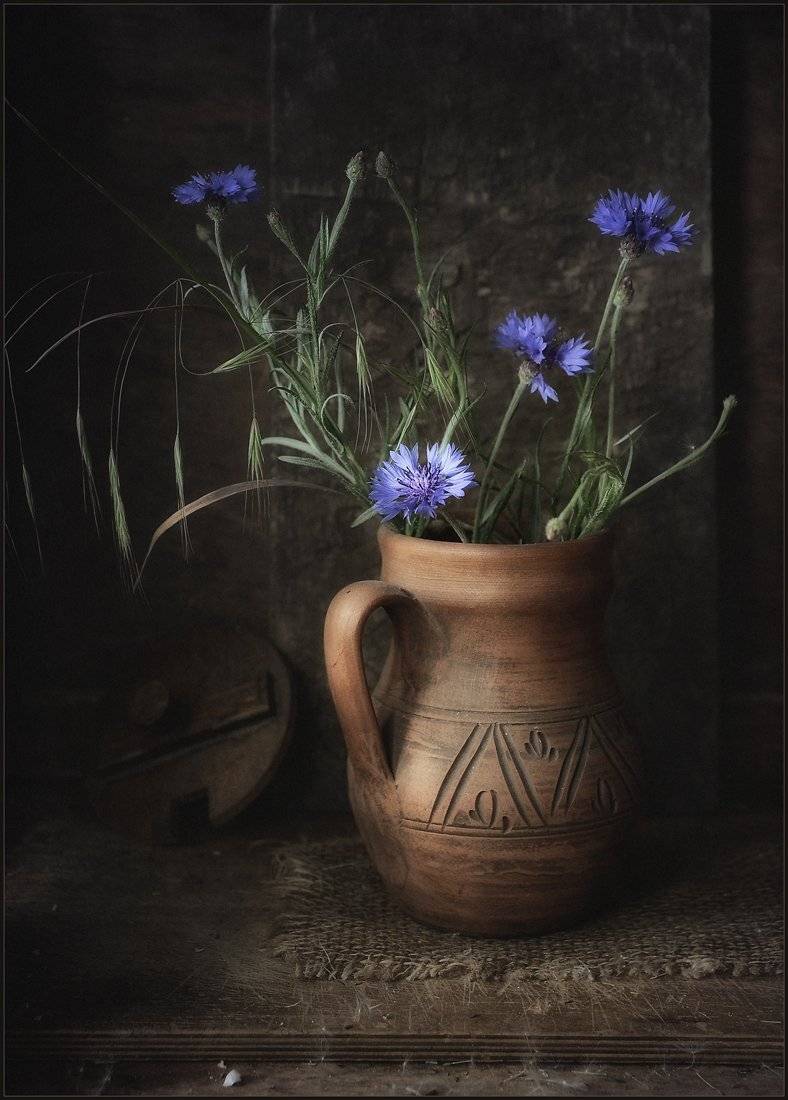 Васильки... Автор: Александр Хромеев , Александр Хромеев