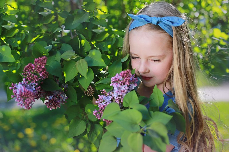 дети портрет весна2020 девочка нежность Нежностьphoto preview
