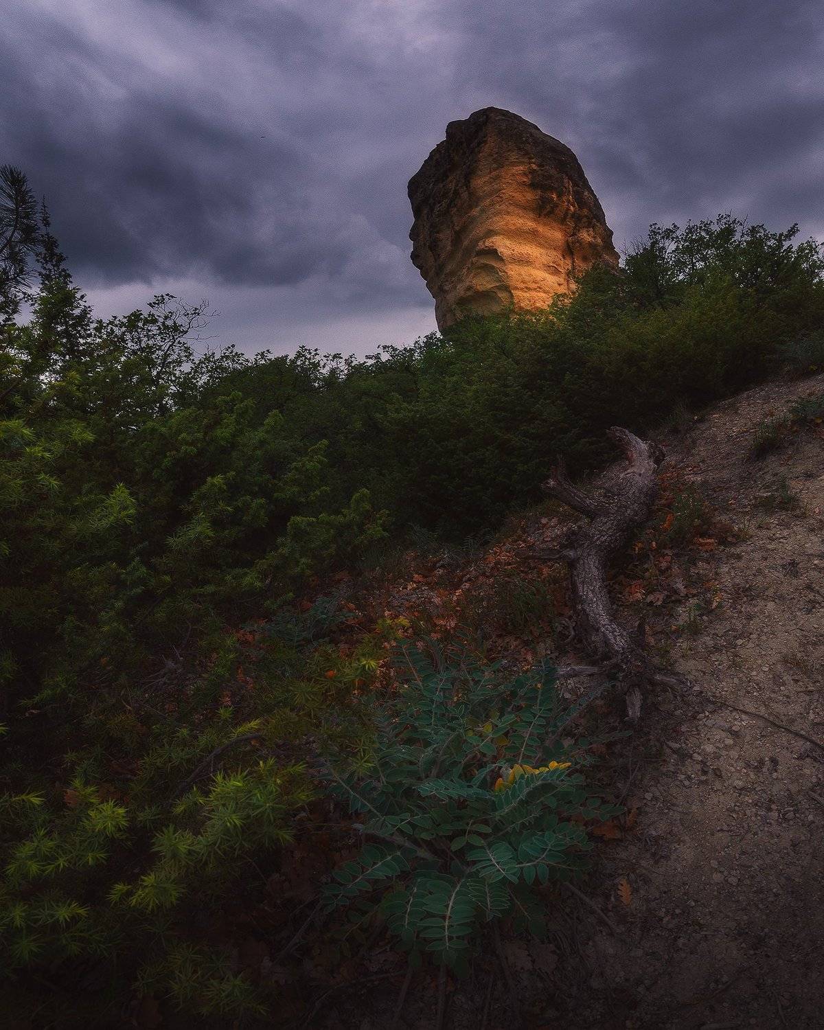 Перед дождём . Автор: Oleg Feofanov , Oleg Feofanov