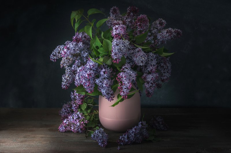 lilac, spring, flower, still life, dark, bouquet Lilacphoto preview