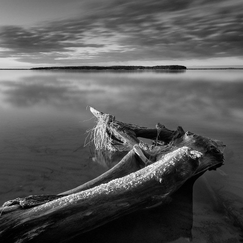 С модной прическойphoto preview