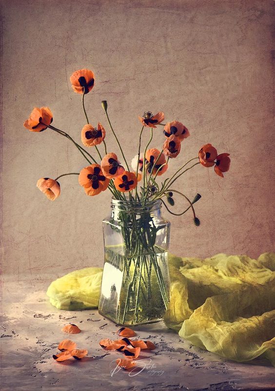 Poppies artphoto preview