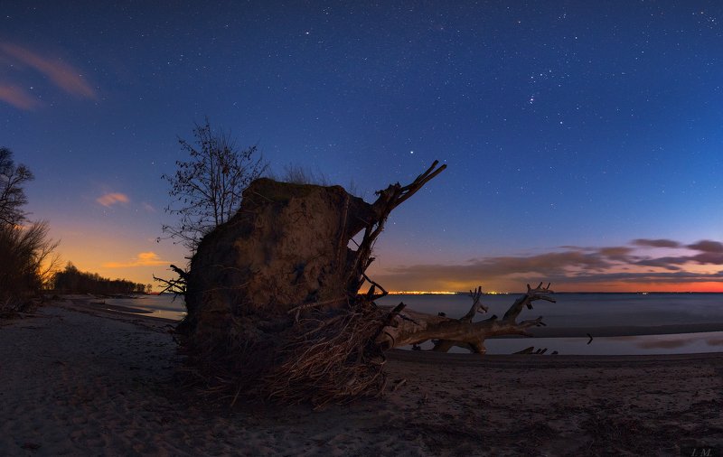 пейзаж, ночь, звезды, Орион, Сириус, созвездия, астрофотография, астропейзаж, сумерки, дерево, море, песок, ночная съемка, облака, landscape, night, stars, Orion, Sirius, cold, colors, panorama, clouds, sea, nightscape, tree, sky, astrophotography Battlefield фото превью