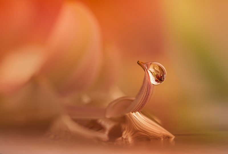 Про маленькую каплю...photo preview