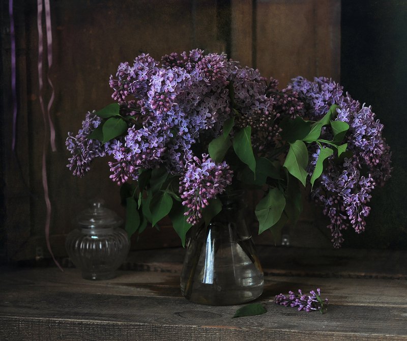 Сирени буйный цветphoto preview