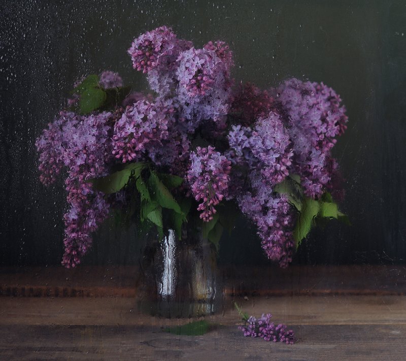 Сквозь капли на стеклеphoto preview