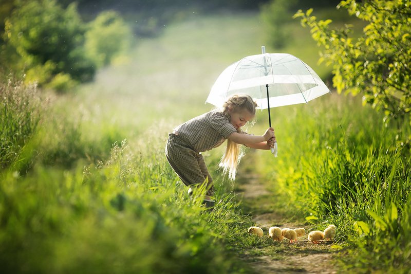 дождик, циплята, зонтик, дети, детский фотограф, детский портрет, девочка, лето,  Циплята под зонтомphoto preview