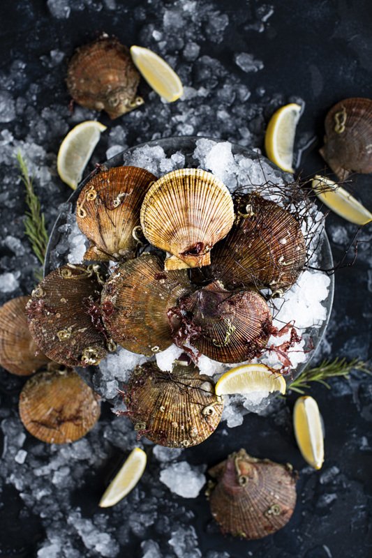 food photography fresh scallops seafood raw foodie still life flatlay Scallopsphoto preview