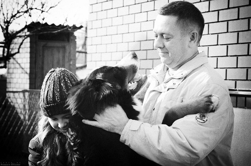 берн, бернский зенненхунд, пес, собака, объятия Мы неразделимыphoto preview