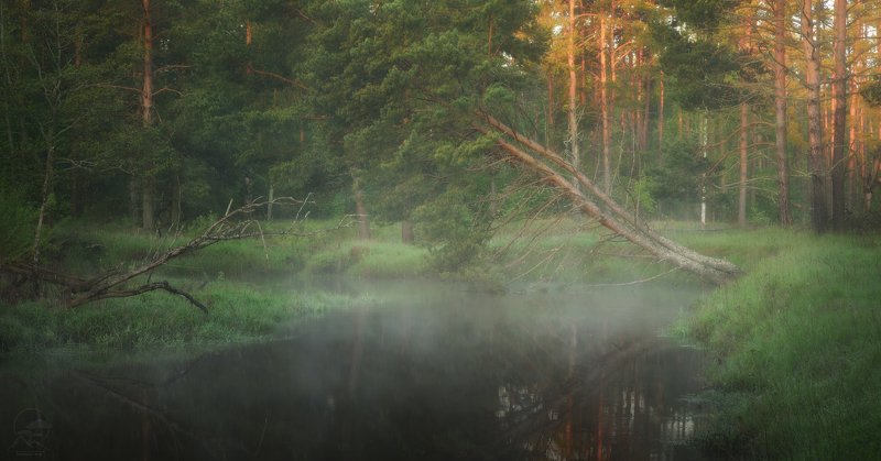 пейзаж, река, весна, утро \