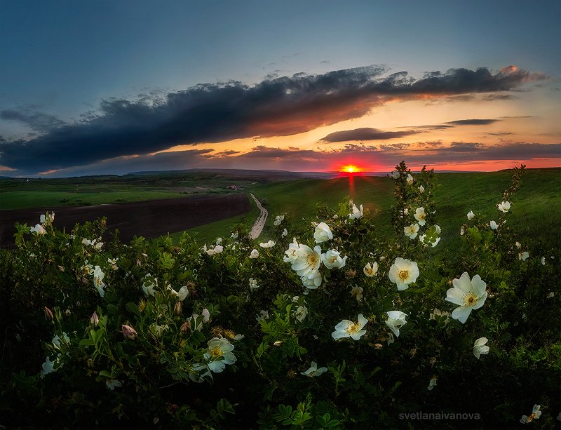 закат, горы, поле, ессентуки, лето, ставропольский край, предгорный район, кмв Вдыхая аромат весны...photo preview