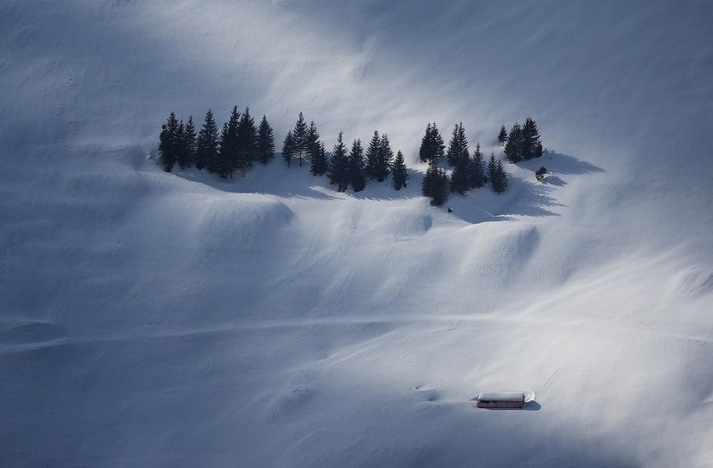 winter, trees, blizzard, snow, landscape, travel, nature, mountain, romania, cold, sunset Sound of Silencephoto preview