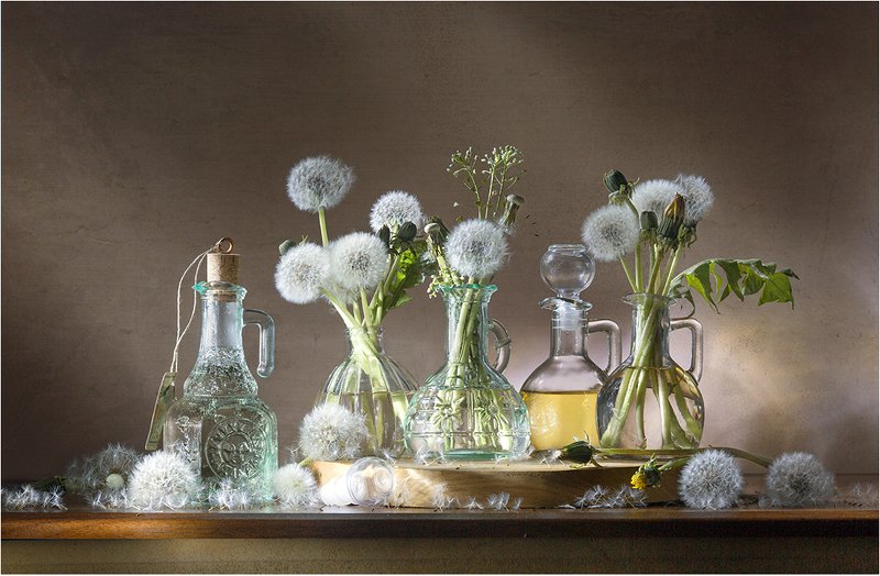 Вино из одуванчиковphoto preview