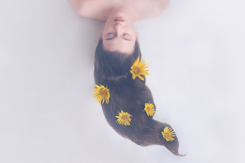 girl, sunflower, hair, sleep, eyes, closedeyes, longhair, yellow Dream of sunflowerphoto preview