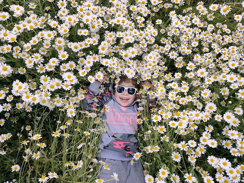 девочка, ромашки, поле, счастье, радость, улыбка, мобильное фото, мобильное Детское счастьеphoto preview