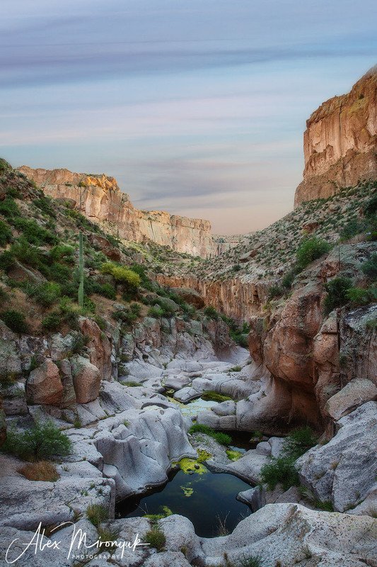 США, Аризона, Фото-тур, каньон, пустыня, лужа, вода, вечер, закат, утро, рассвет Каньоны Юга Аризоныphoto preview