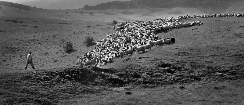 EFIAP/p, MF AUFBiHphoto preview