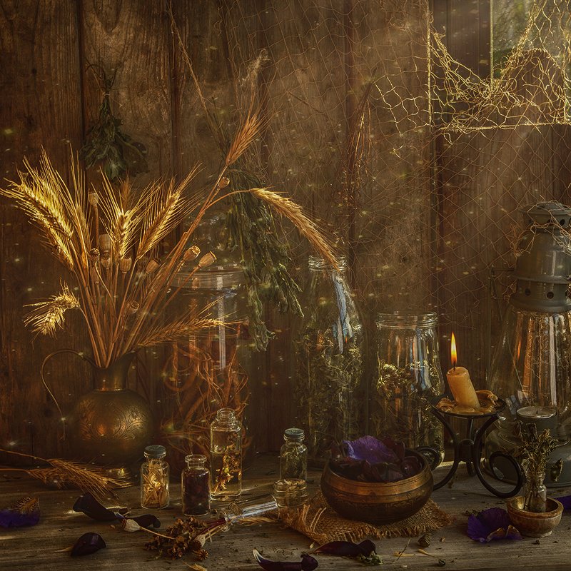 травы, знахарка У лесной знахаркиphoto preview