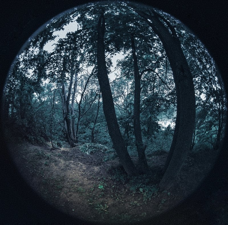 UntitledPattern#5202photo preview