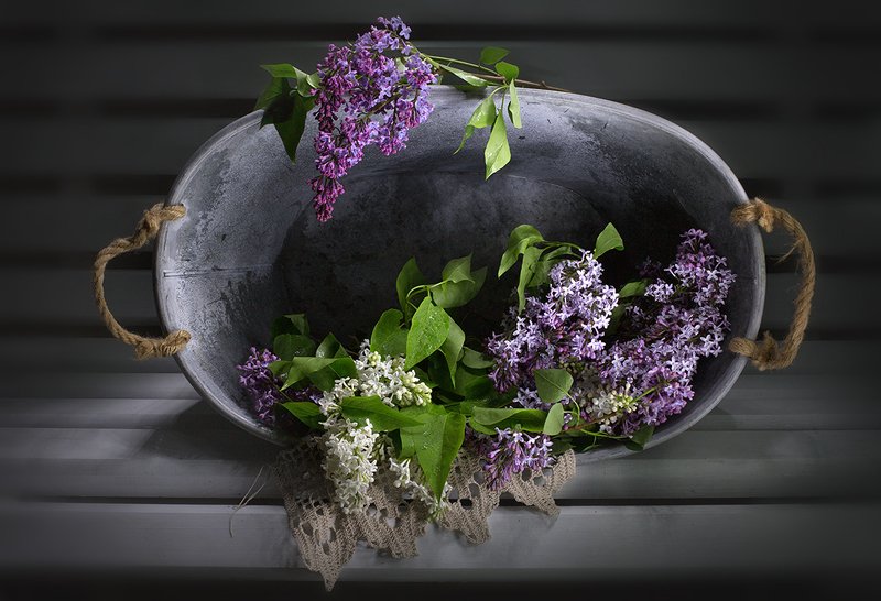 натюрморт, весенние цветы, сирень ...photo preview