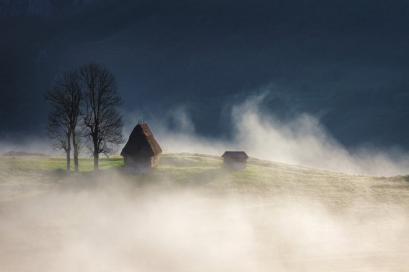 summer, trees, fog, landscape, travel, nature, mountain, romania, cold, sunrise, morning, house, light Morning Lightsphoto preview