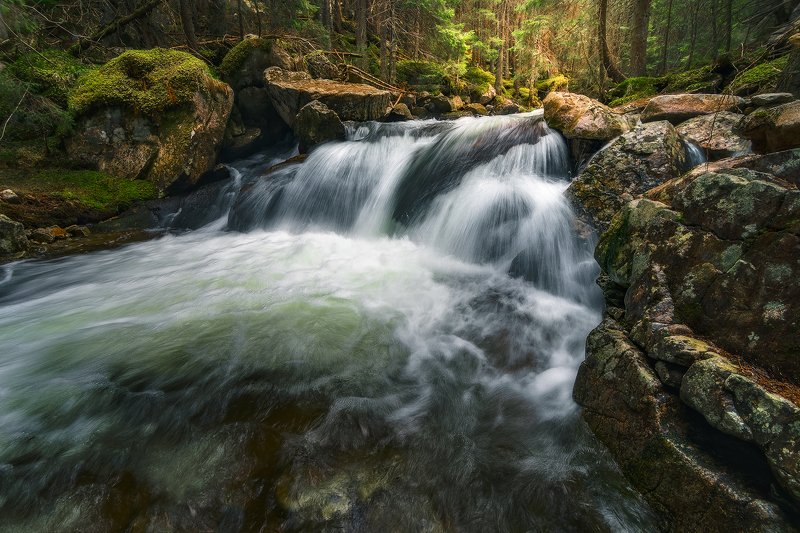 retezat, retezatnationalpark, romania, landscape, creek Brookphoto preview