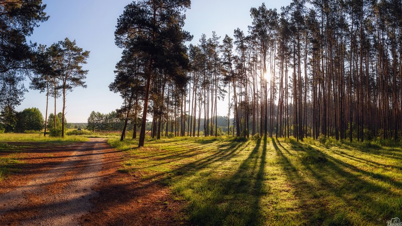 Майский рассвет фото превью