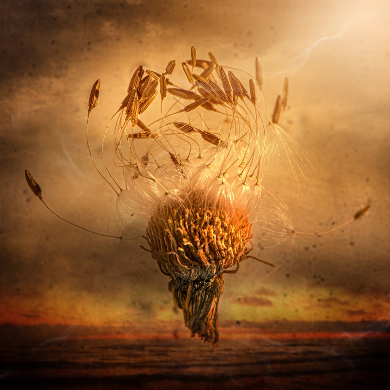 ...летающие желанияphoto preview