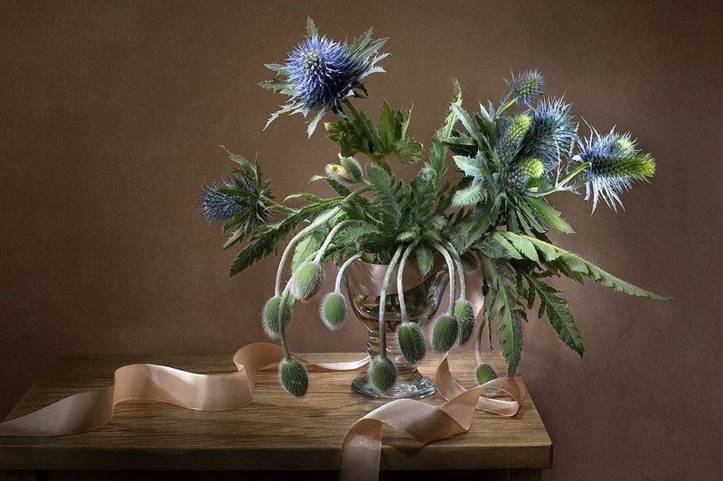 Мак и чертополохphoto preview