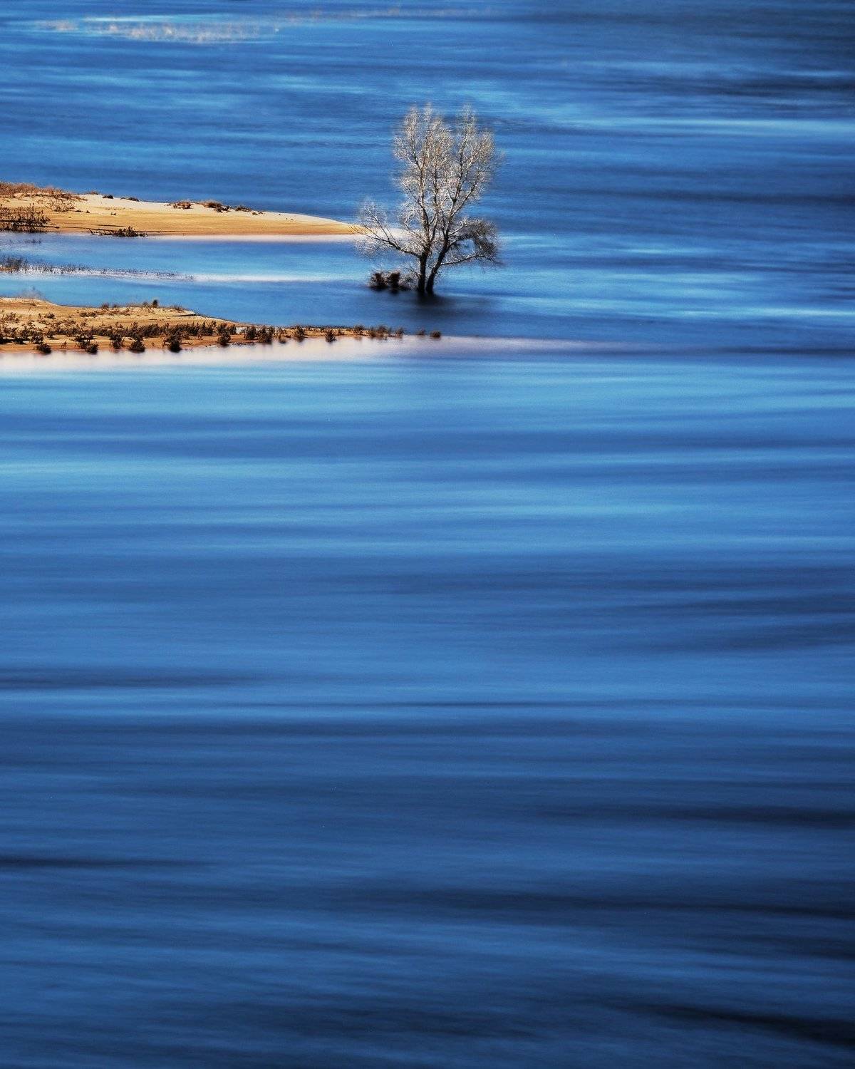 Шелковые нити. Автор: Попрошаев Сергей , Попрошаев Сергей