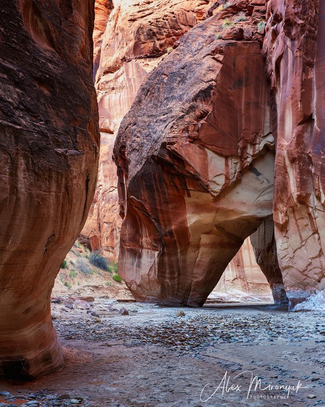 США, Аризона, Юта, каньон, щелевой, слот, пустыня, река, скала, отражение,  Rock Slide Archphoto preview