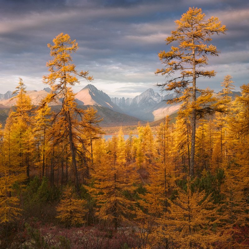 осень, колыма, озеро, горы Золото Колымыphoto preview